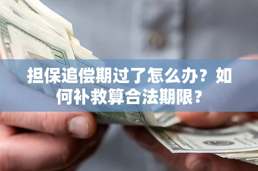 北京担保追偿期过了怎么办？如何补救算合法期限？