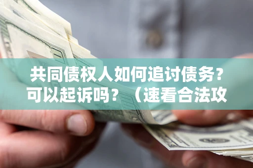 北京共同债权人如何追讨债务？可以起诉吗？（速看合法攻略）