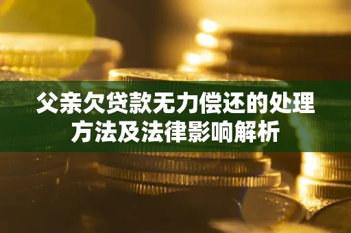北京父亲欠贷款无力偿还的处理方法及法律影响解析